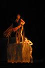 Orlando Furioso (15)